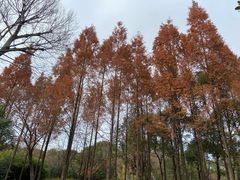 -宝界山林公园