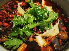 -晓彭肥肠鸡·泡椒鸡火锅(水木天地店)