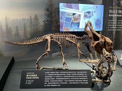 -遇见博物馆(遇见海洋沉浸式奇幻光影展)