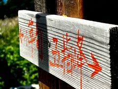 -白草畔自然风景区