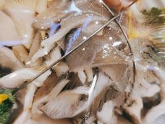 -鸽子窝(宋庄店)