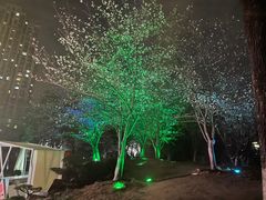 -堤角公园