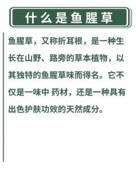 点击看大图 -玛莲朵·海菲秀冰珀科