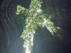 -梭布垭石林景区