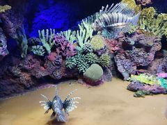 -上海海洋水族馆