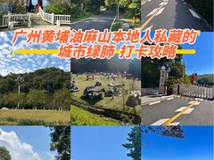 -黄埔油麻山森林公园