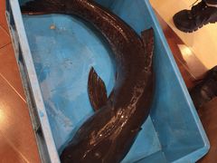 -旭龙鱼头王(航华店)