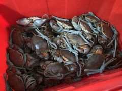 -老财炒饭·熟地蟹·冬瓜蟹