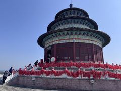 -黄贤森林公园