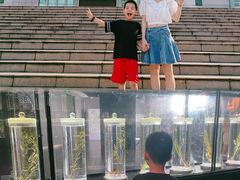-广东中医药博物馆