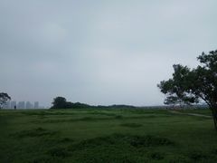 -盘龙城国家考古遗址公园