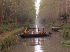 -合肥滨湖国家森林公园