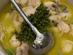 藤椒江团鱼-翡翠江南(国贸商城店)
