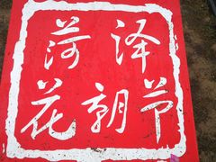 -曹州牡丹园