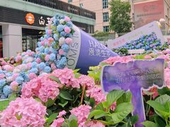 -HALO广场(梨园路店)
