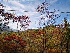 -玉渡山自然风景区