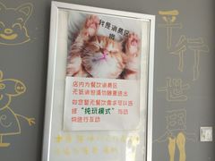 -平行世界·猫咖(首经贸店)