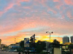 -西湖外事游船(湖滨二公园外事游船码头)