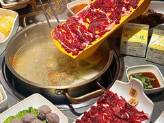-潮发潮汕牛肉店(东方宝泰店)