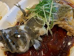 清蒸花斑鱼-岭南海晏楼(东晓南店)