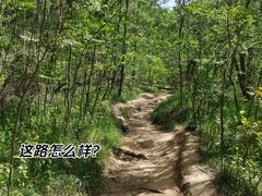 -紫金山山顶公园