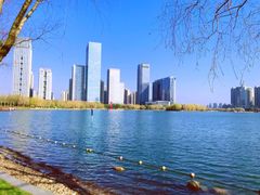 -天鹅湖体育公园