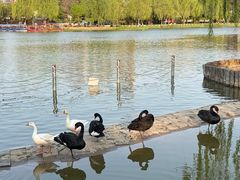 -西海子公园