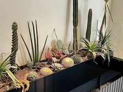 -J Create城市露营咖啡·简餐·宠物(上海动物园店)