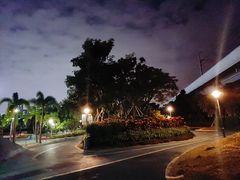 -宝安西湾红树林湿地公园