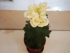-汇龙潭