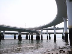 -演武大桥观景平台