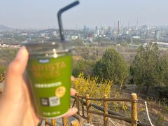 -白水寺森林公园