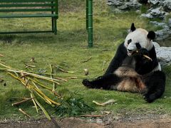 -杭州野生动物世界