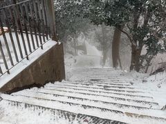 -紫金山山顶公园