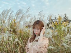 -上海国际音乐村