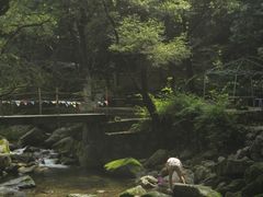 -少华山国家森林公园