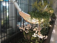 -曼谷素万那普国际机场