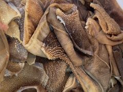 -金鼎雪山牦牛杂火锅(理县总店)