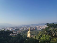 -西双版纳原始森林公园