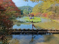 -田野绿世界