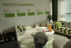 -凡碧诗毛孔清洁收细