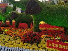 -保定市动物园