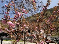 -京东石林峡风景区