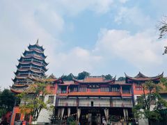 -铁山坪森林公园