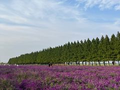 -嘉北郊野公园