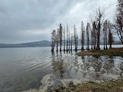 -阳宗海湿地