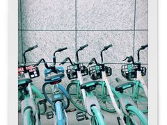 -金张掖麻辣烫(凤城一路店)