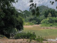 -红山村
