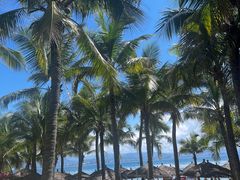 -三亚西岛海洋文化旅游区