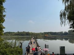 -溱湖国家湿地公园